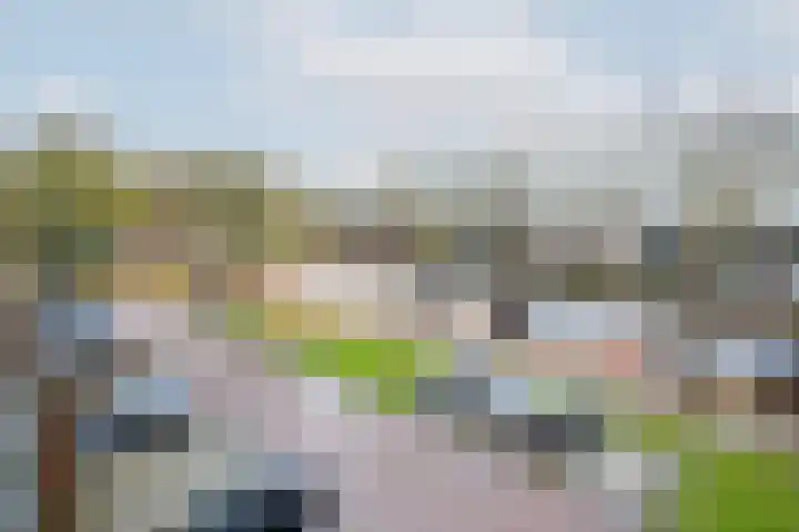 Kaap Hoorn 17 Hoorn thumbnail 42