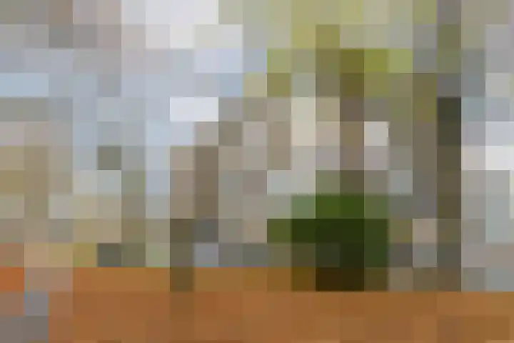 Kaap Hoorn 17 Hoorn thumbnail 9