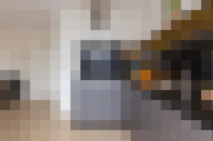 Kaap Hoorn 21 Hoorn thumbnail 15