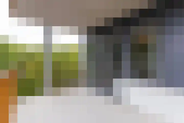 Kaap Hoorn 21 Hoorn thumbnail 22