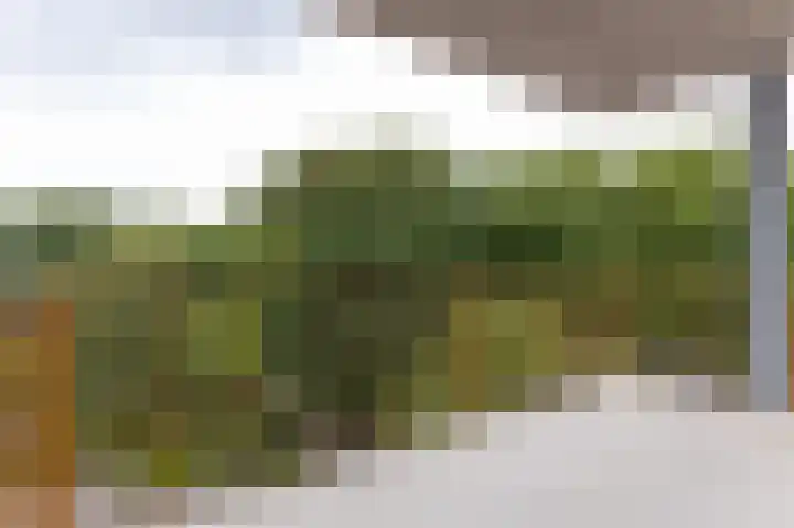 Kaap Hoorn 21 Hoorn thumbnail 23