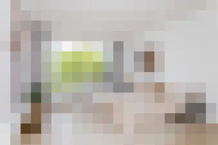 Kaap Hoorn 21 Hoorn thumbnail 30
