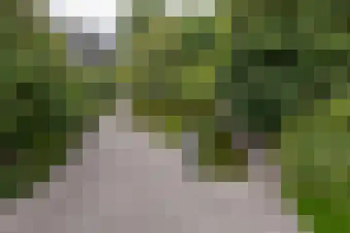 Kaap Hoorn 21 Hoorn thumbnail 36