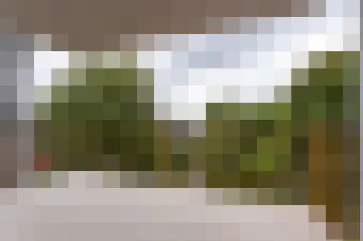 Kaap Hoorn 21 Hoorn thumbnail 4