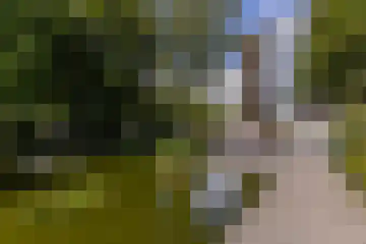 Kaap Hoorn 21 Hoorn thumbnail 5