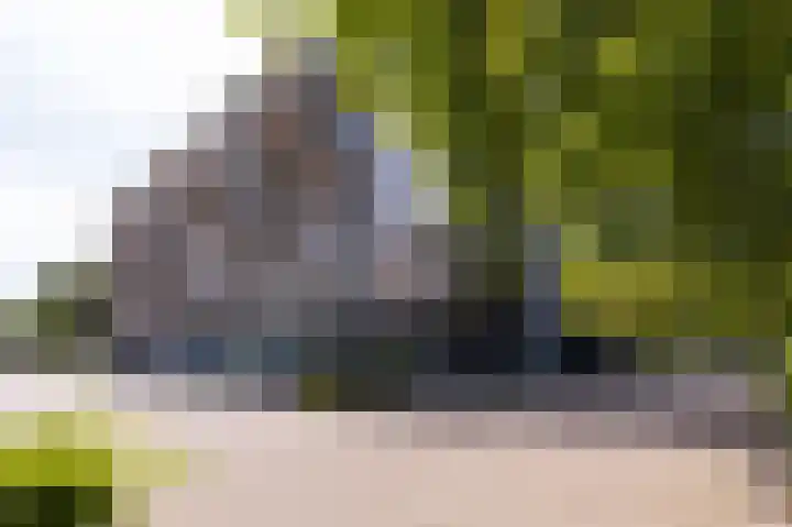 Kaap Hoorn 21 Hoorn thumbnail 7