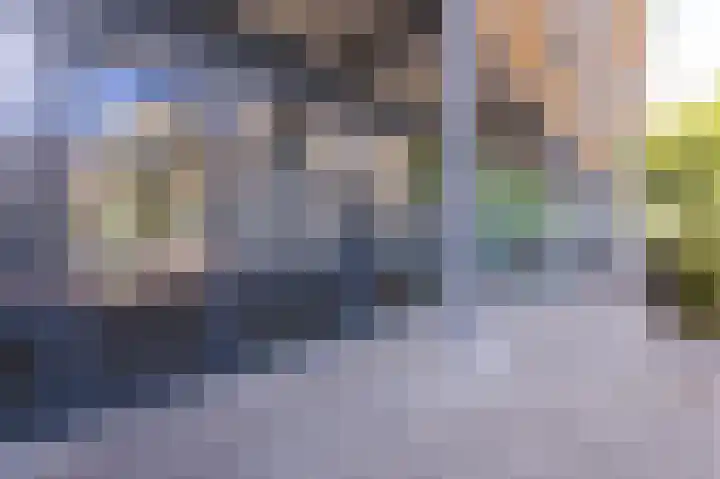 Kaap Hoorn 21 Hoorn thumbnail 8