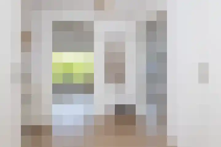 Kaap Hoorn 21 Hoorn thumbnail 9