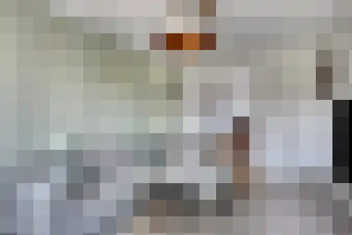 Kaap Hoorn 22 Hoorn thumbnail 10