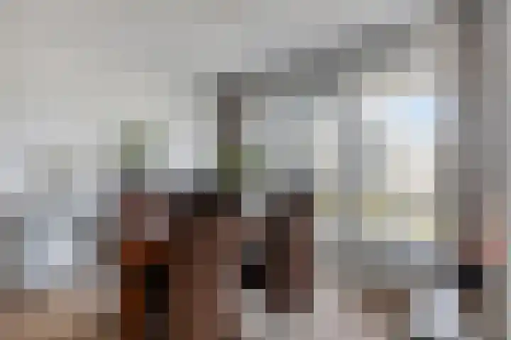 Kaap Hoorn 22 Hoorn thumbnail 11