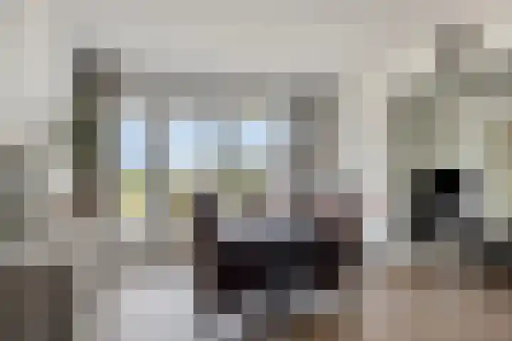 Kaap Hoorn 22 Hoorn thumbnail 12