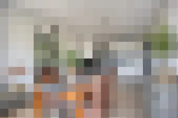 Kaap Hoorn 22 Hoorn thumbnail 13