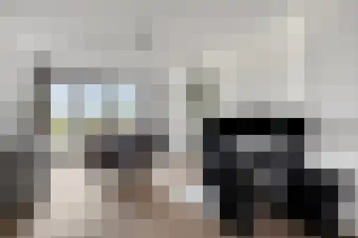 Kaap Hoorn 22 Hoorn thumbnail 15