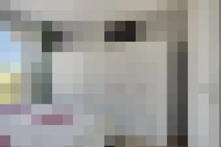 Kaap Hoorn 22 Hoorn thumbnail 20