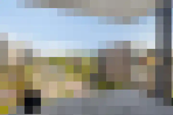 Kaap Hoorn 22 Hoorn thumbnail 21