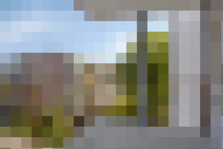 Kaap Hoorn 22 Hoorn thumbnail 22
