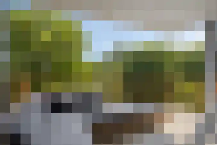 Kaap Hoorn 22 Hoorn thumbnail 24