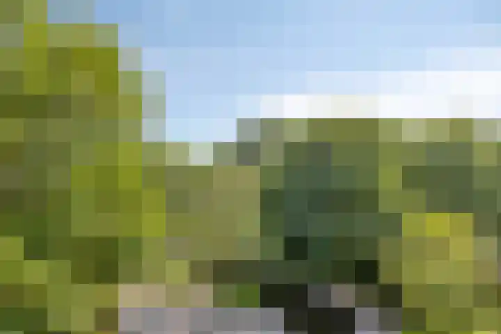 Kaap Hoorn 22 Hoorn thumbnail 28