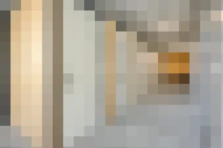 Kaap Hoorn 22 Hoorn thumbnail 29