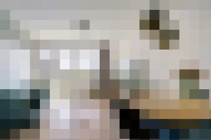 Kaap Hoorn 25 Hoorn thumbnail 14