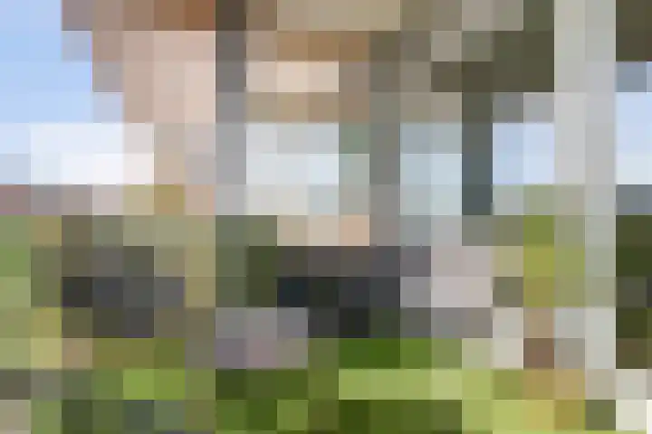 Kaap Hoorn 25 Hoorn thumbnail 27