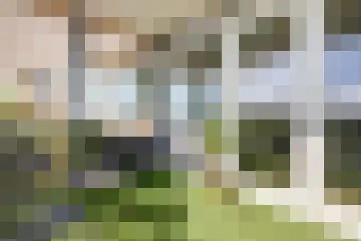Kaap Hoorn 25 Hoorn thumbnail 28