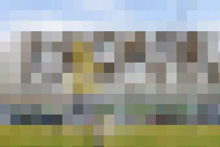 Kaap Hoorn 25 Hoorn thumbnail 34