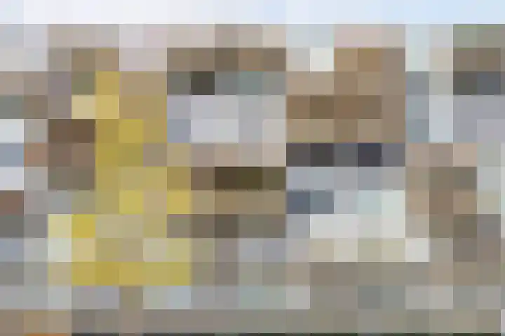 Kaap Hoorn 25 Hoorn thumbnail 6