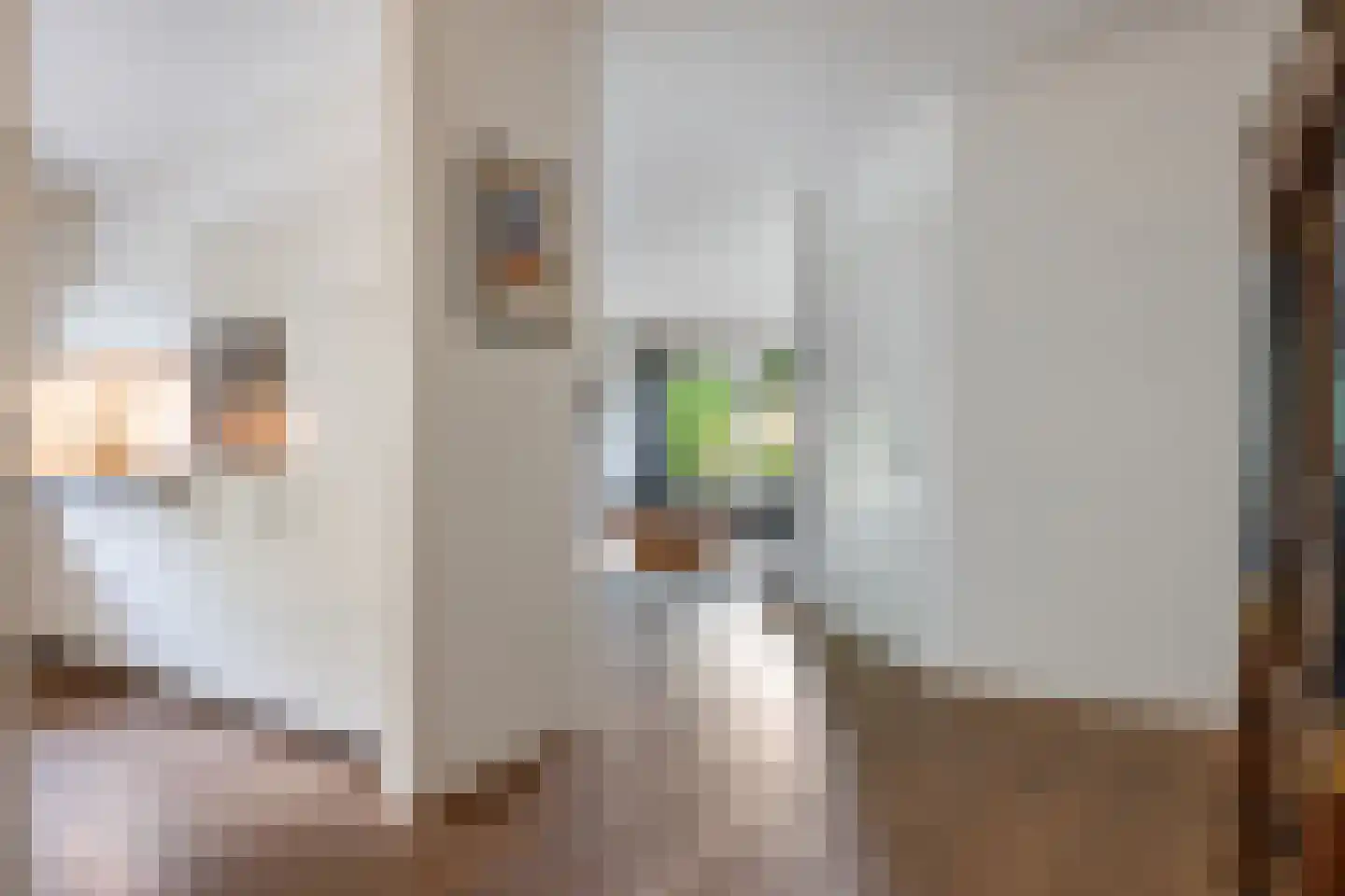 Kaap Hoorn 3 Veendam thumbnail 10