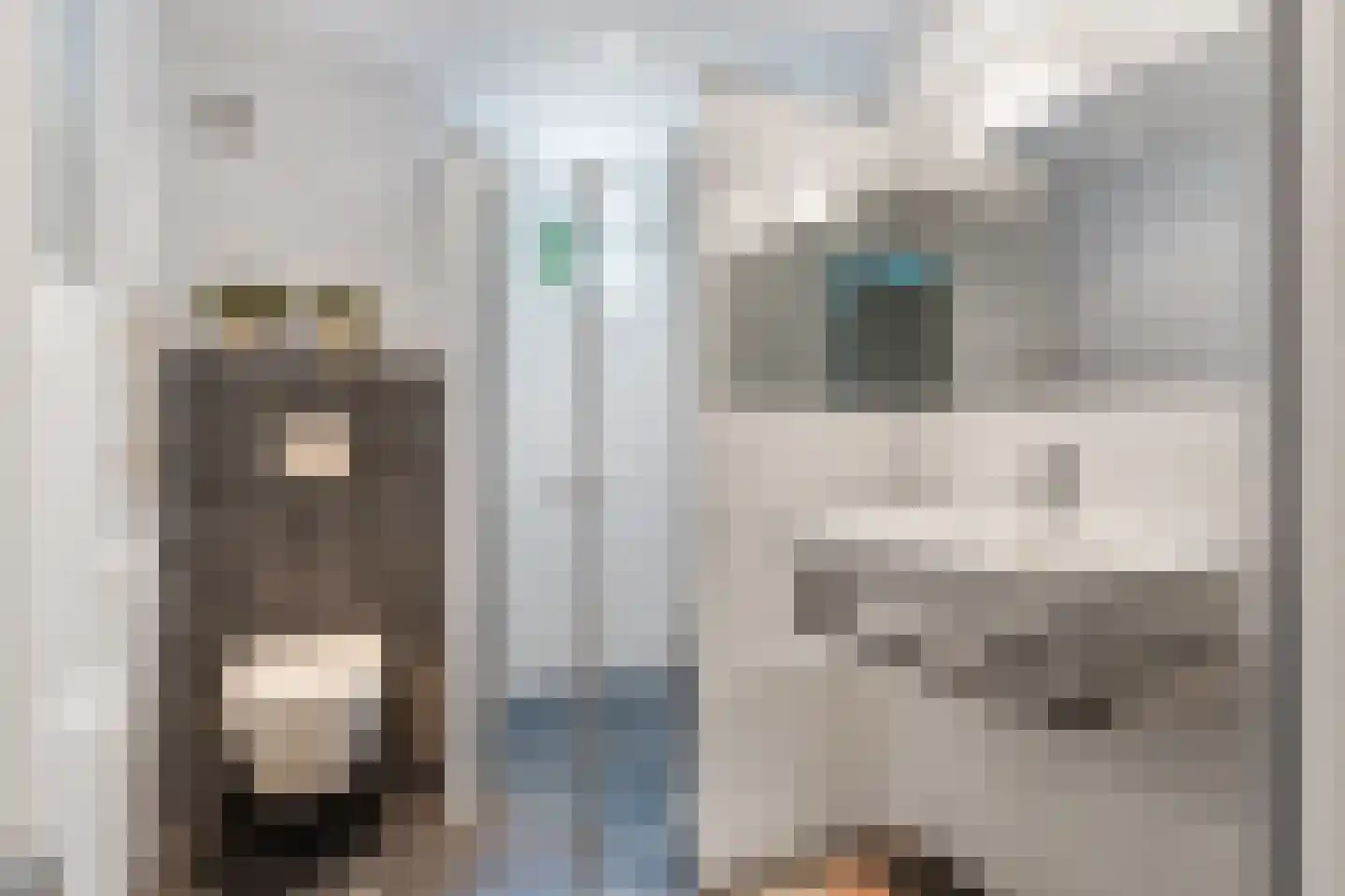 Kaap Hoorn 3 Veendam thumbnail 20