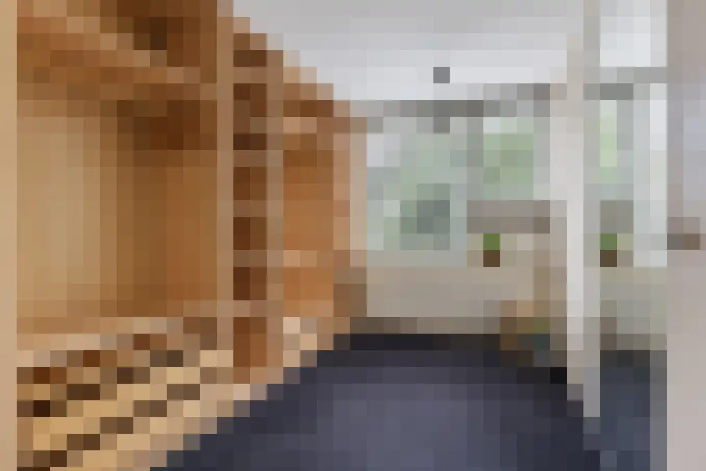 Kaap Hoorn 3 Veendam thumbnail 23