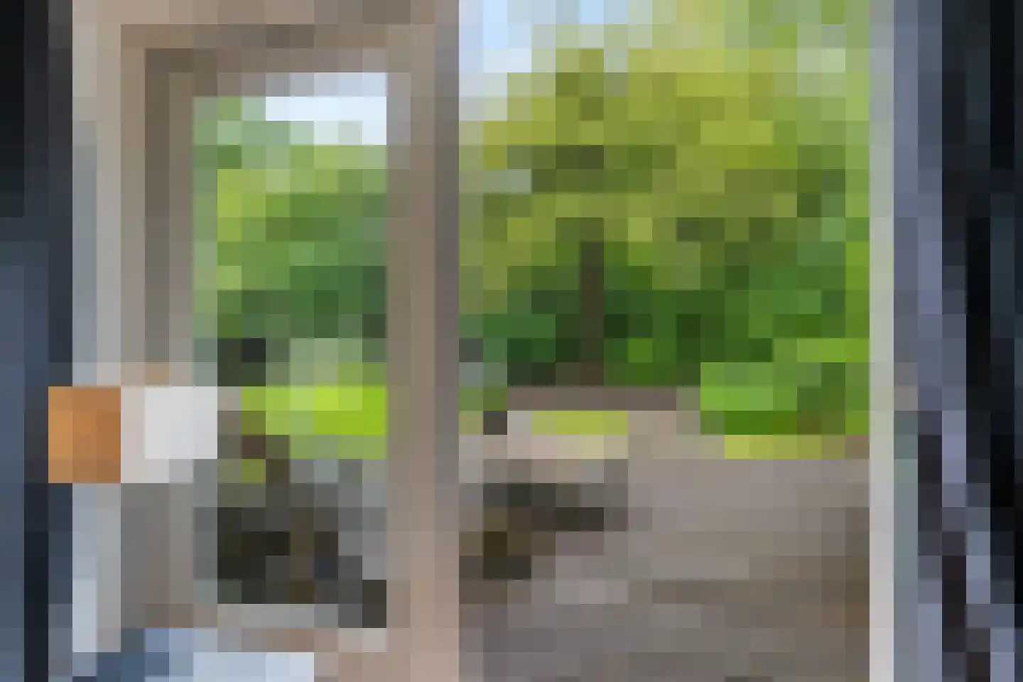 Kaap Hoorn 3 Veendam thumbnail 26
