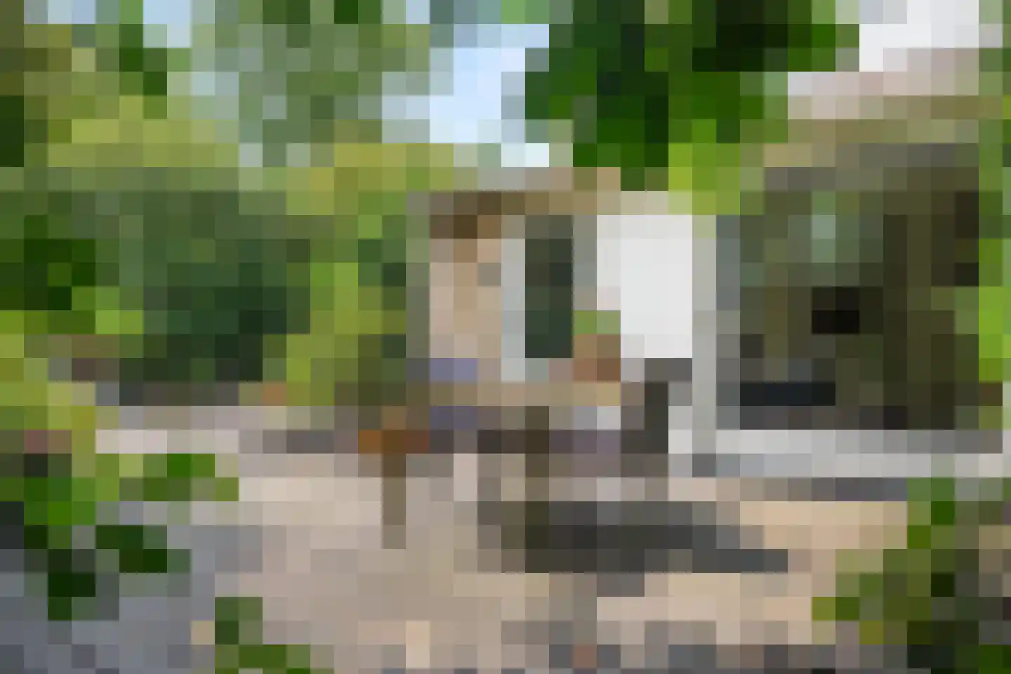 Kaap Hoorn 3 Veendam thumbnail 27