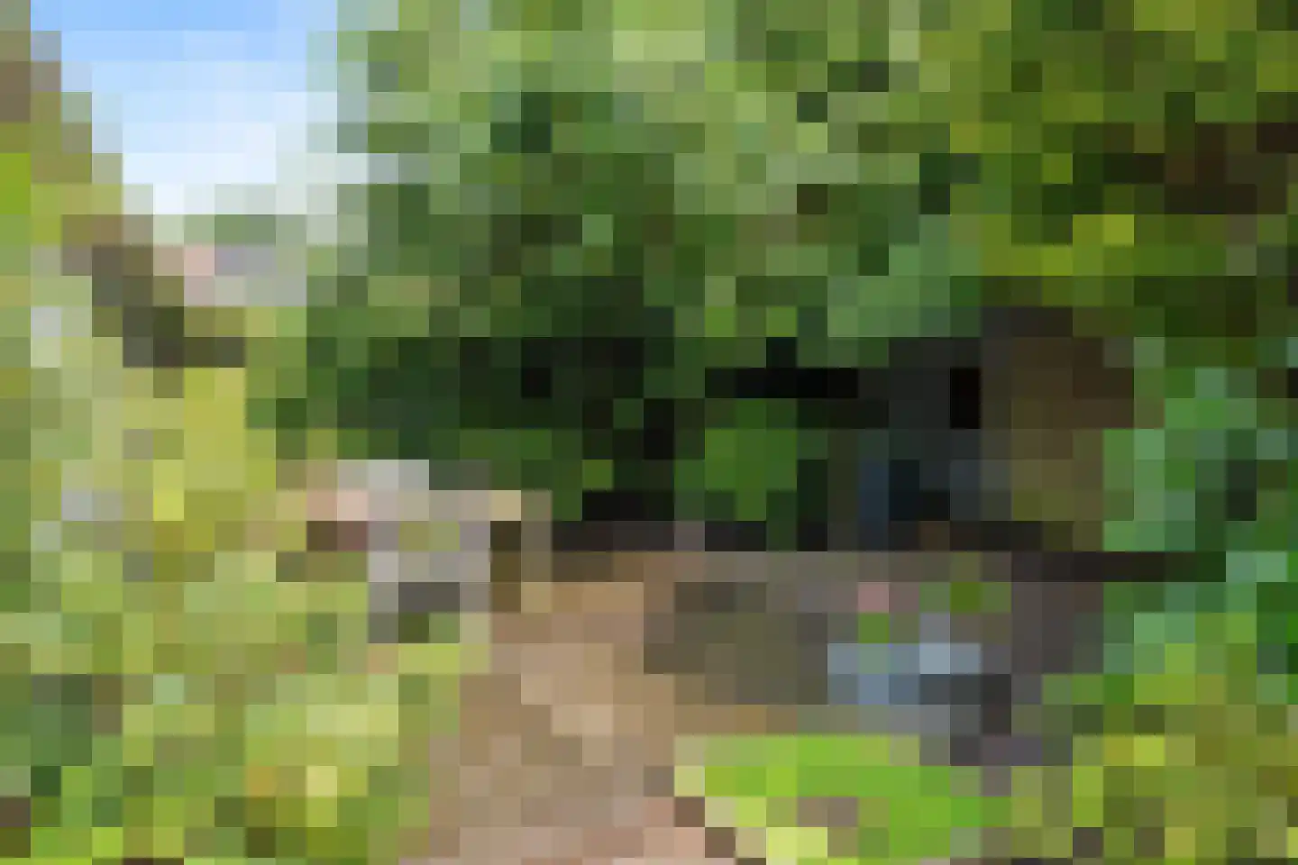 Kaap Hoorn 3 Veendam thumbnail 30
