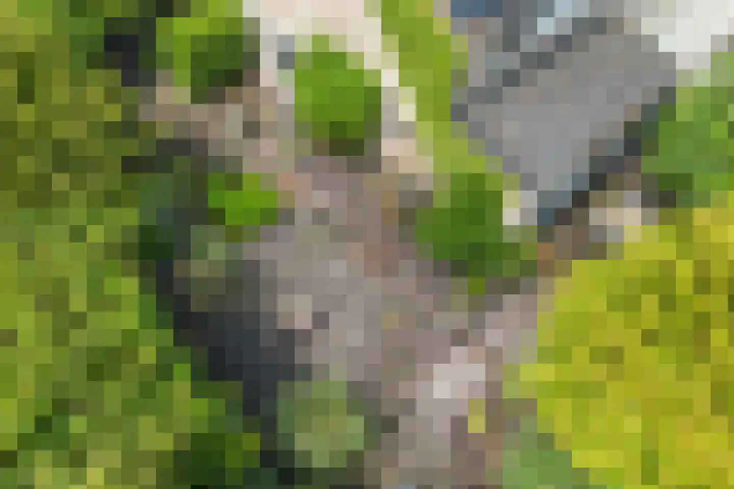 Kaap Hoorn 3 Veendam thumbnail 34