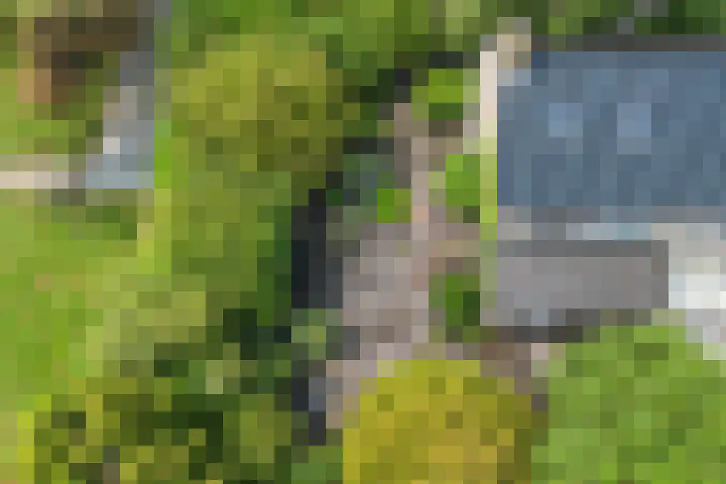 Kaap Hoorn 3 Veendam thumbnail 36