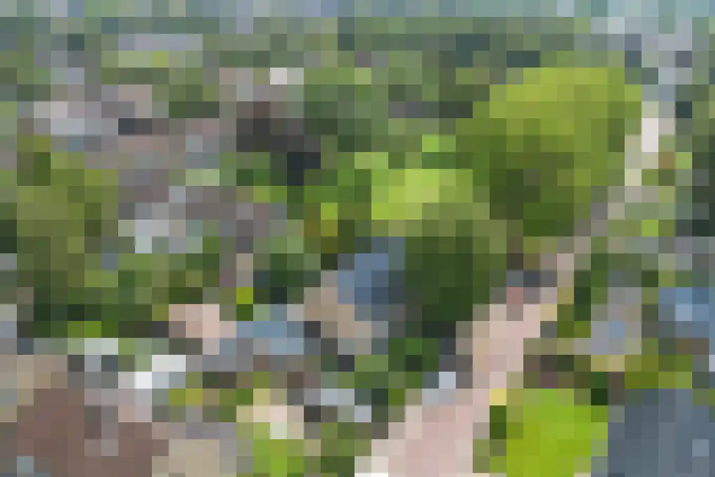 Kaap Hoorn 3 Veendam thumbnail 37