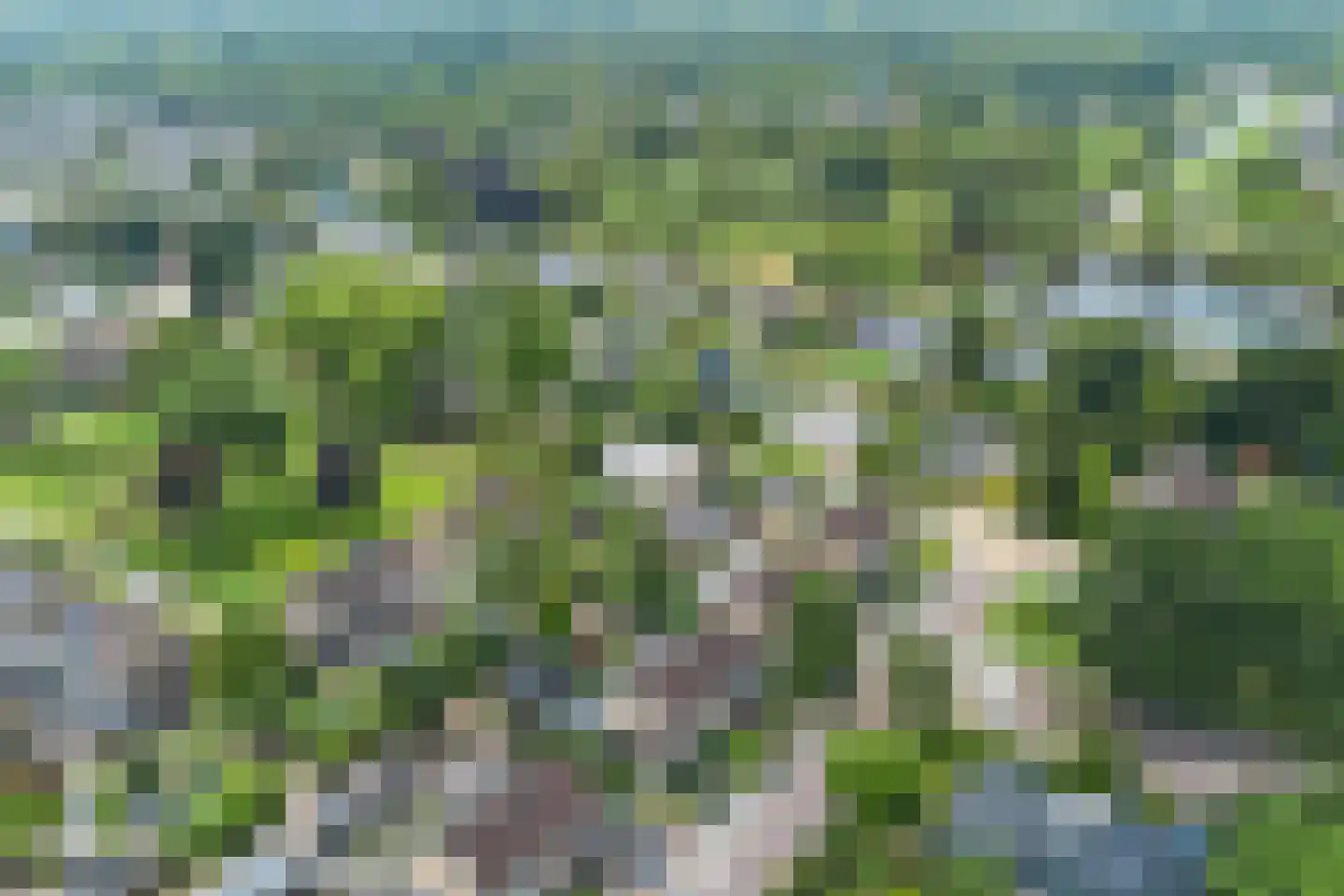 Kaap Hoorn 3 Veendam thumbnail 38
