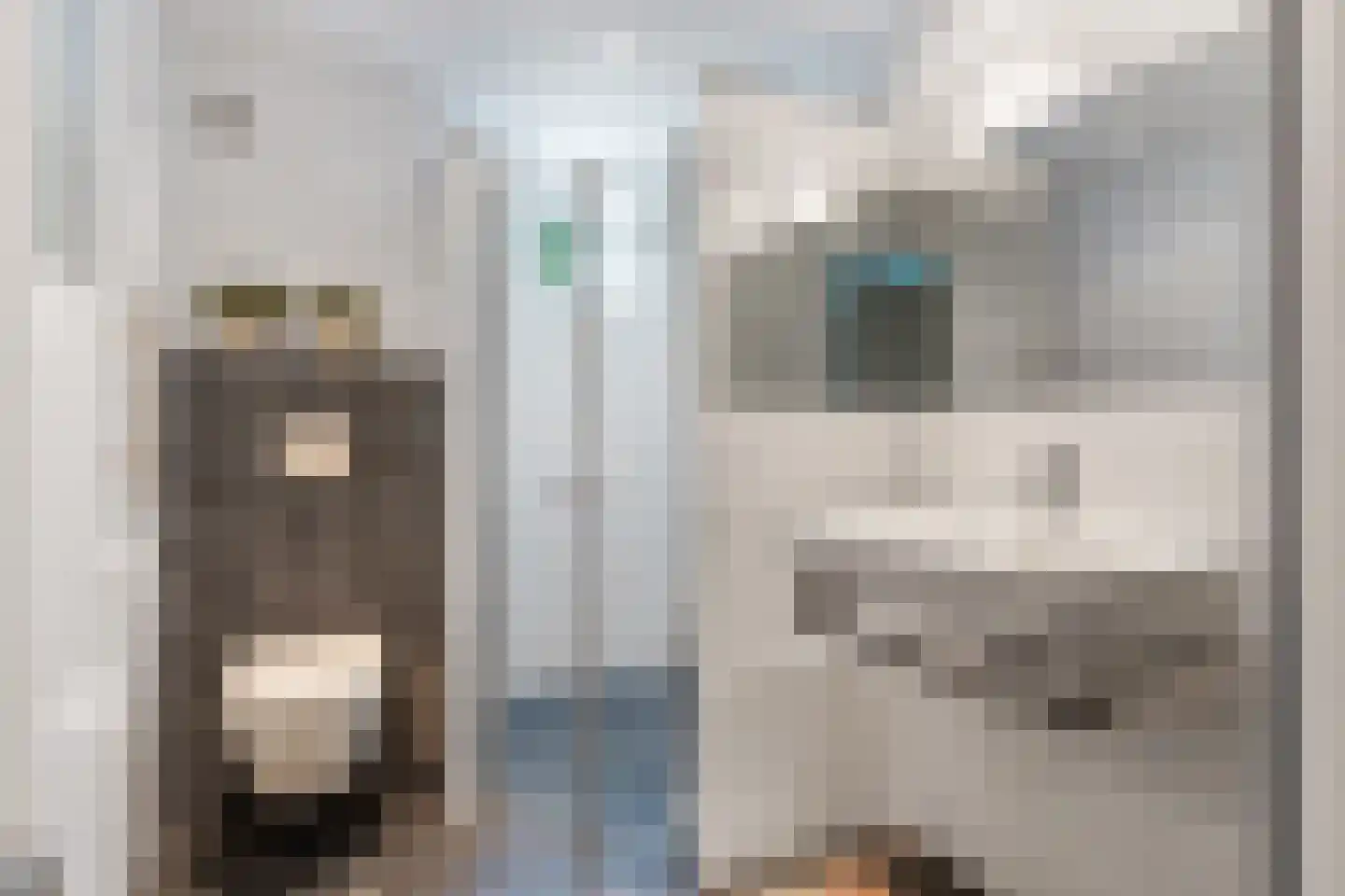 Kaap Hoorn 3 Veendam thumbnail 4