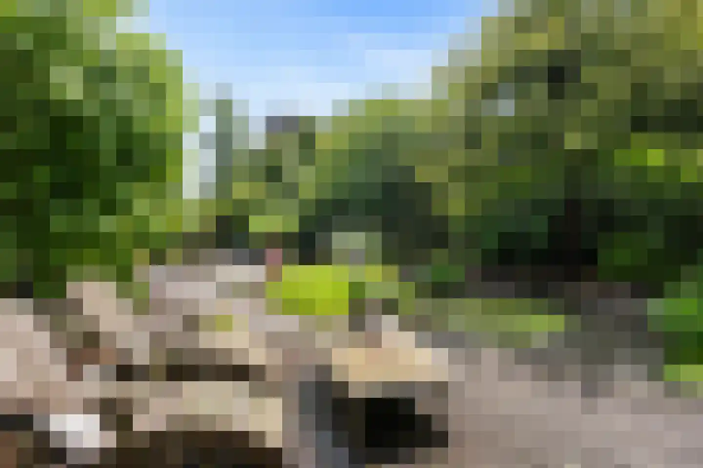 Kaap Hoorn 3 Veendam thumbnail 5