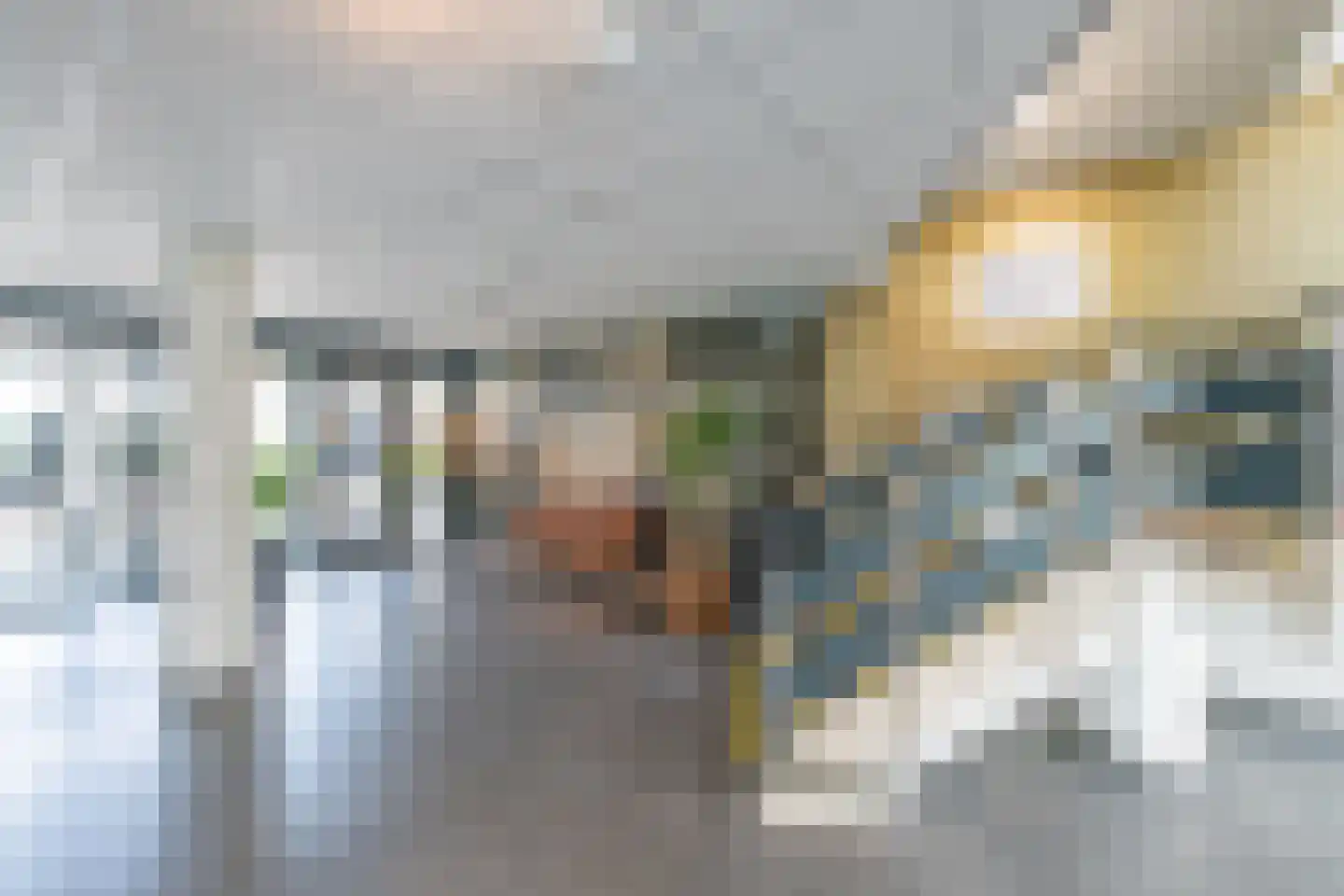 Kaap Hoorn 42 Hoorn thumbnail 35