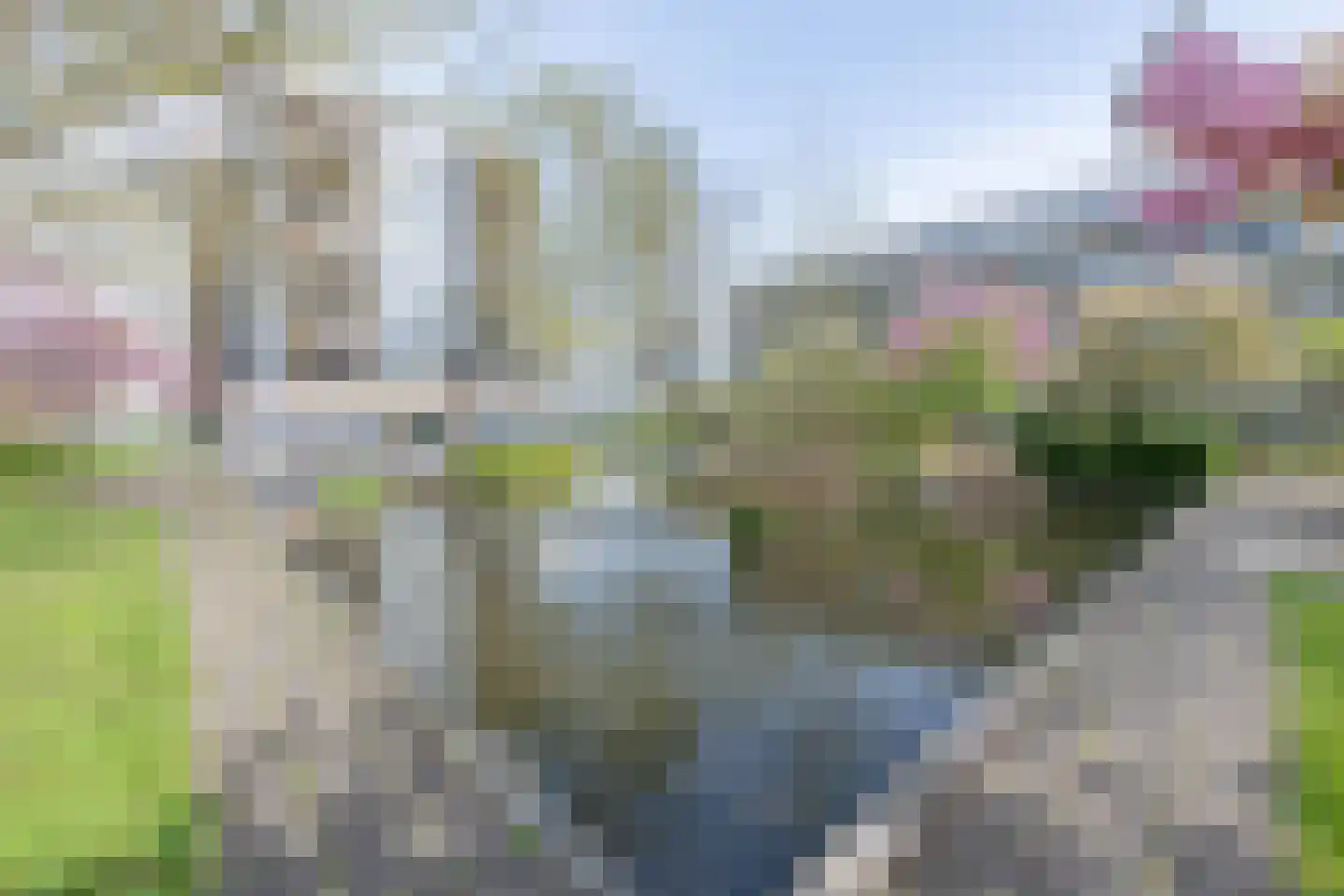 Kaap Hoorn 42 Hoorn thumbnail 43