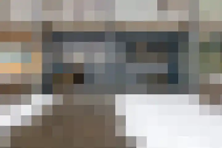 Kaap Hoorn 45 Hoorn thumbnail 6