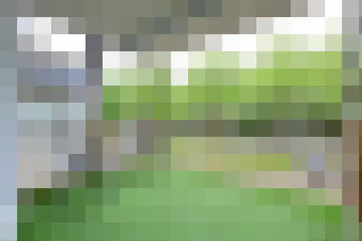 Kaap Hoorn 5 Hoorn thumbnail 13