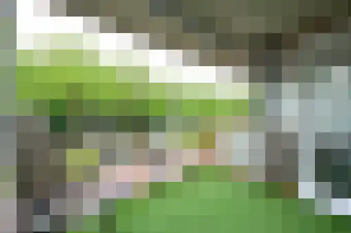 Kaap Hoorn 5 Hoorn thumbnail 14