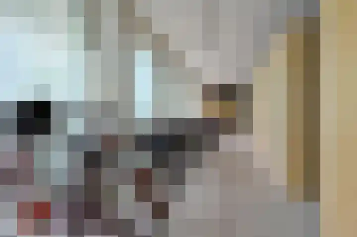 Kaap Hoorn 5 Hoorn thumbnail 17