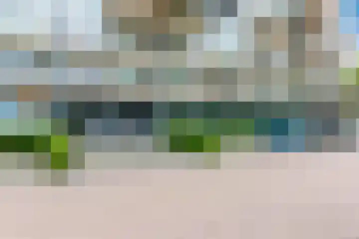 Kaap Hoorn 5 Hoorn thumbnail 19