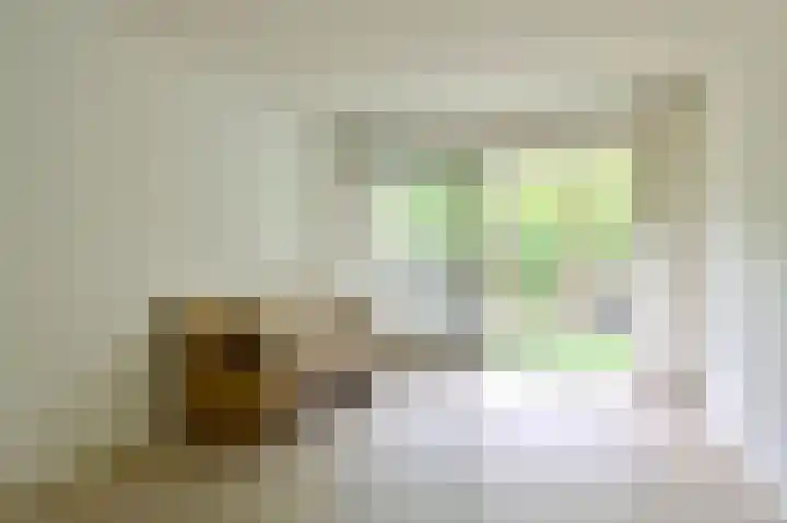 Kaap Hoorn 5 Hoorn thumbnail 5