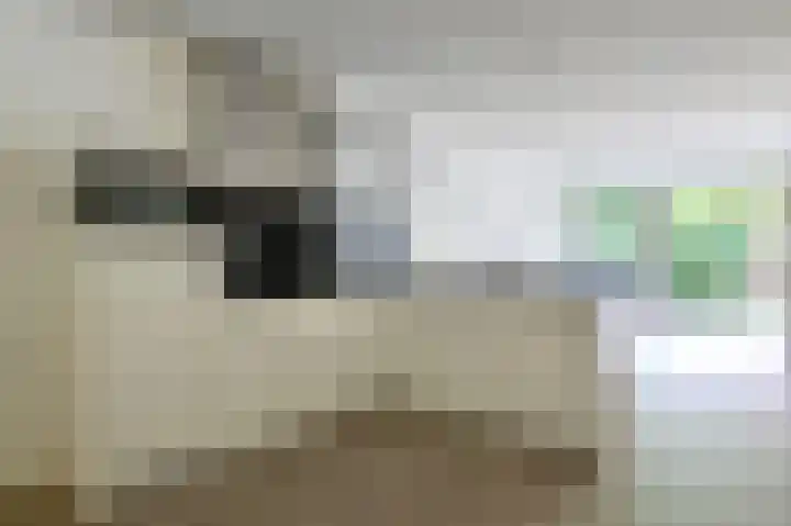Kaap Hoorn 5 Hoorn thumbnail 7