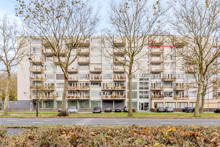 Kaap Hoorn 72 in Hoorn Foto